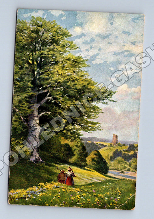 Pohlednice Německo Bavaria venkovská scéna 1908 (M33698)