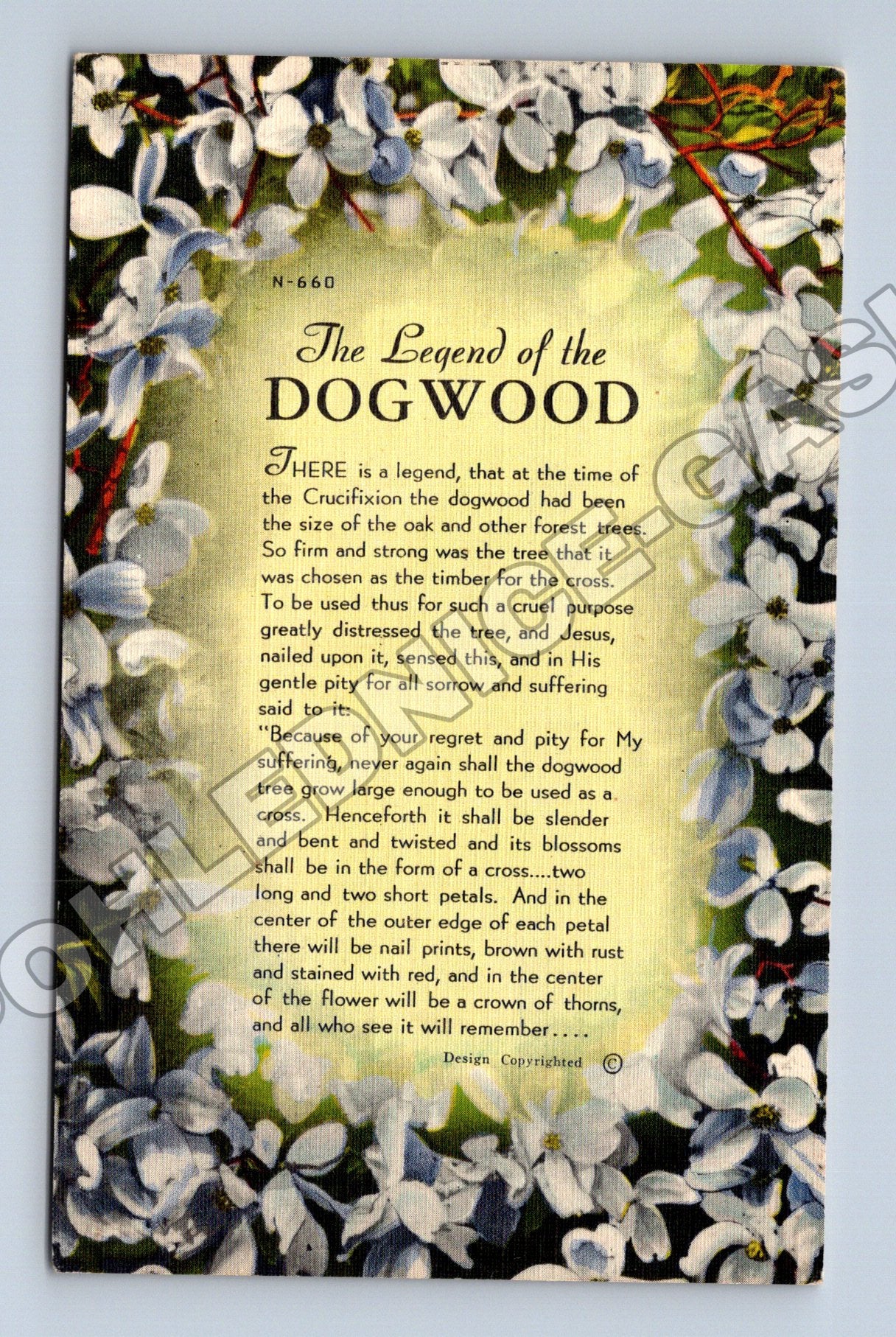 Pohlednice USA The Legend of the Dogwood (M33709)