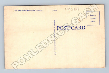 Pohlednice USA The Legend of the Dogwood (M33709)