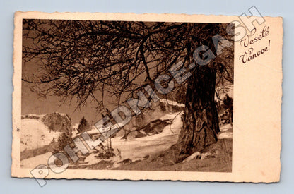 Pohlednice zimní krajina Vánoční přání 1938 (M33744)