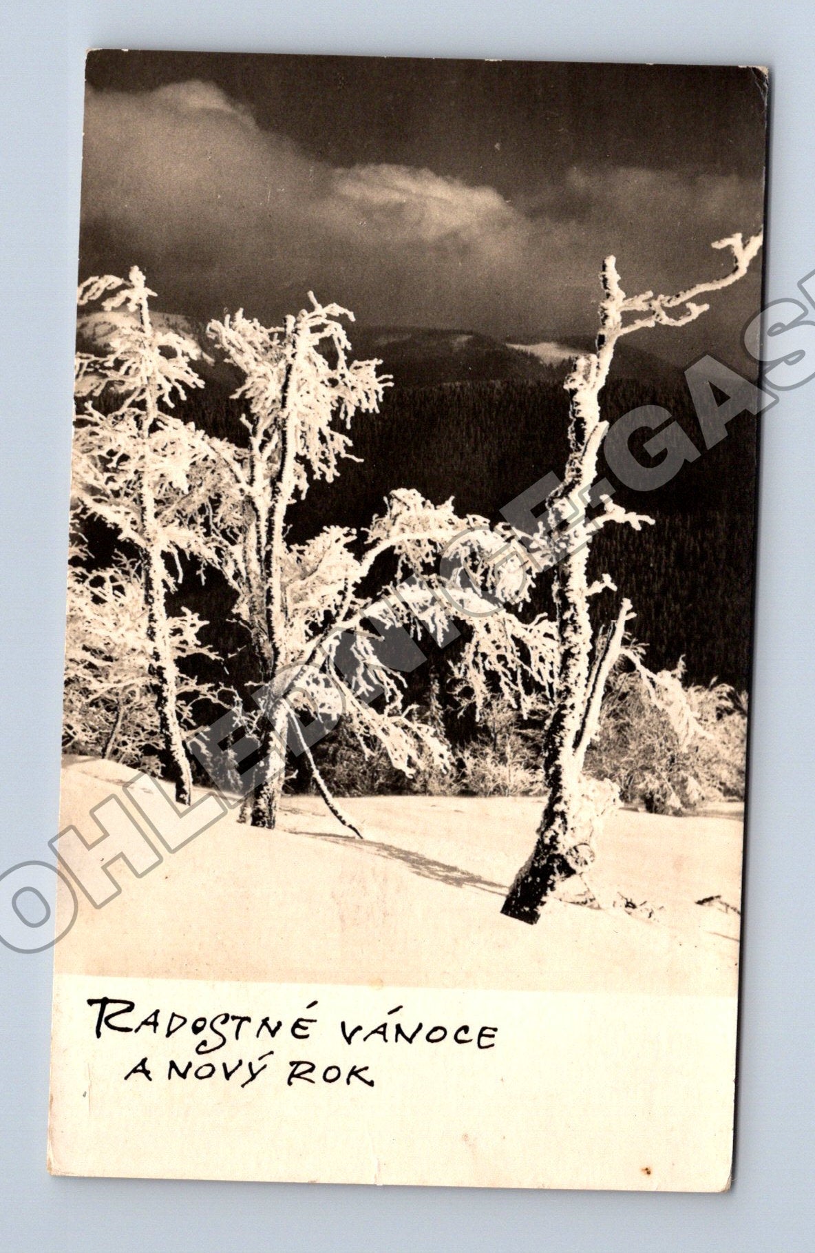Pohlednice zimní krajina Radostné Vánoce (M33746)