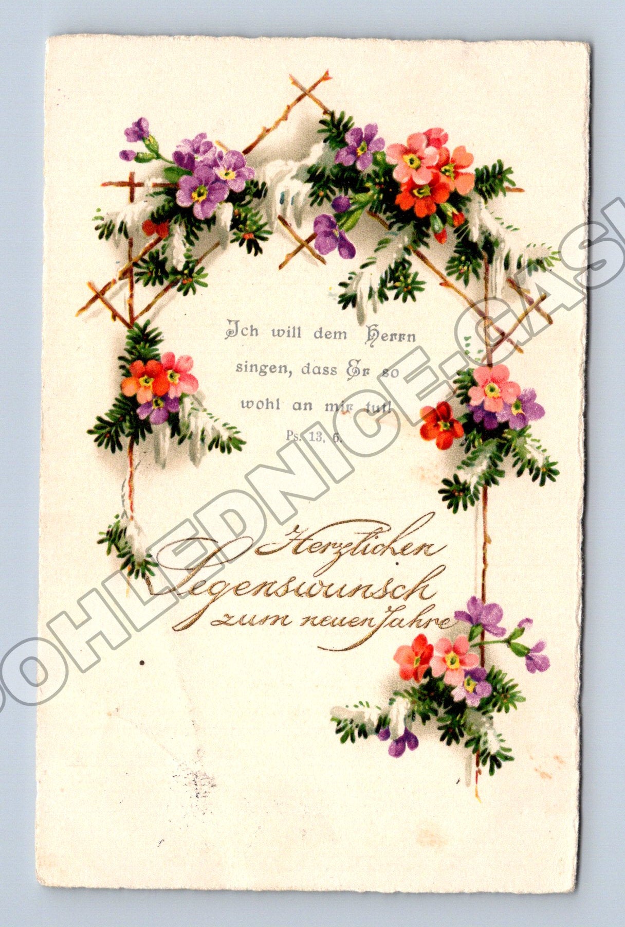 Pohlednice Švýcarsko Novoroční přání květiny 1905 (M33755)