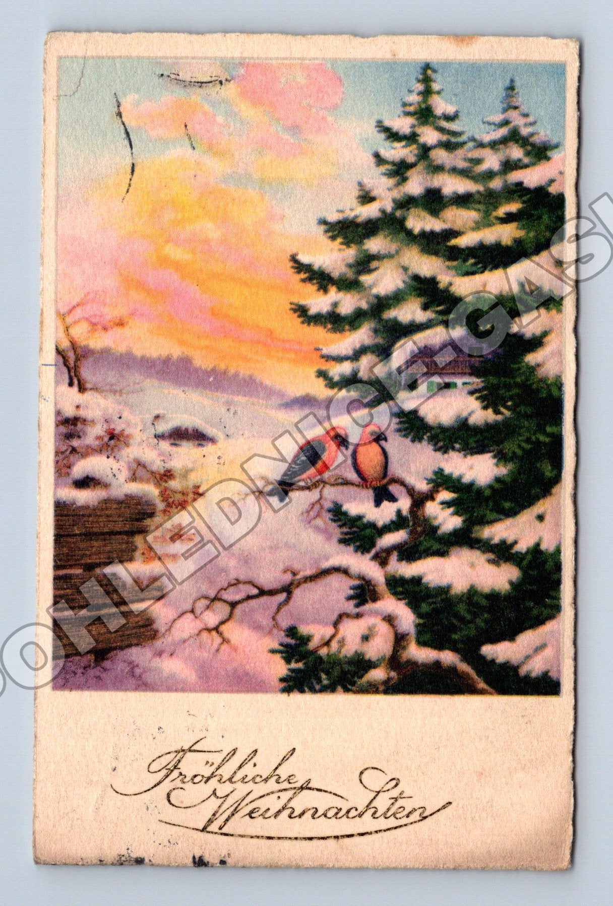 Pohlednice Rakousko vánoční motiv ptáci zima 1910 (M33756)