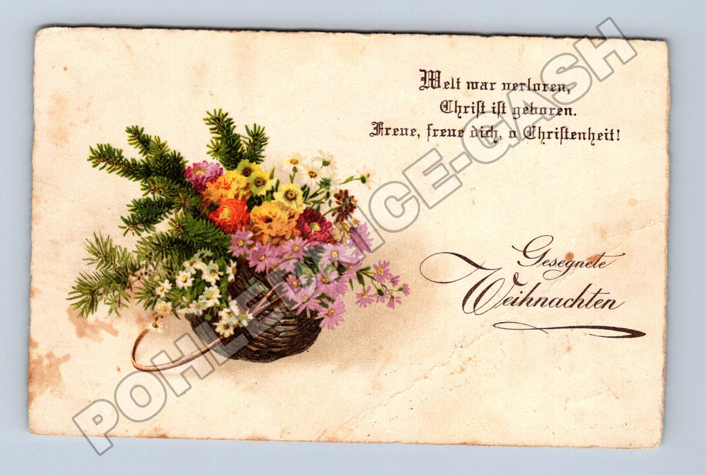 Pohlednice Švýcarsko Vánoční přání s květinami c.1900 (M33765)