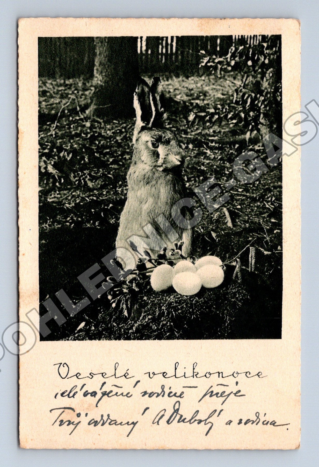 Pohlednice králík s velikonočními vejci 1935 (M33775)