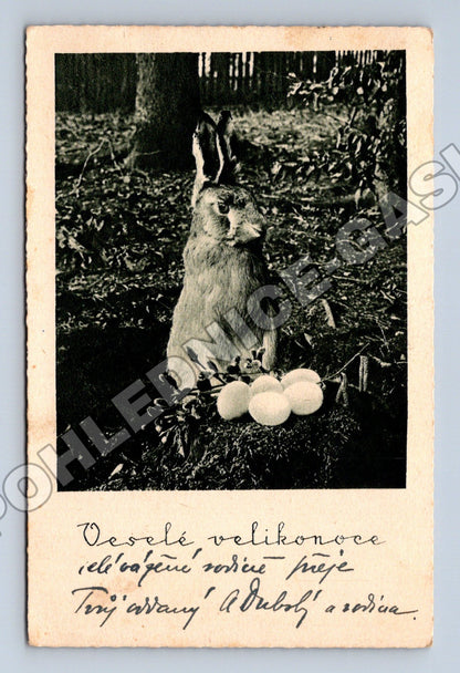 Pohlednice králík s velikonočními vejci 1935 (M33775)