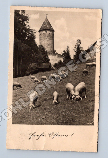 Pohlednice Rakousko ovce a věž 194x (M33781)