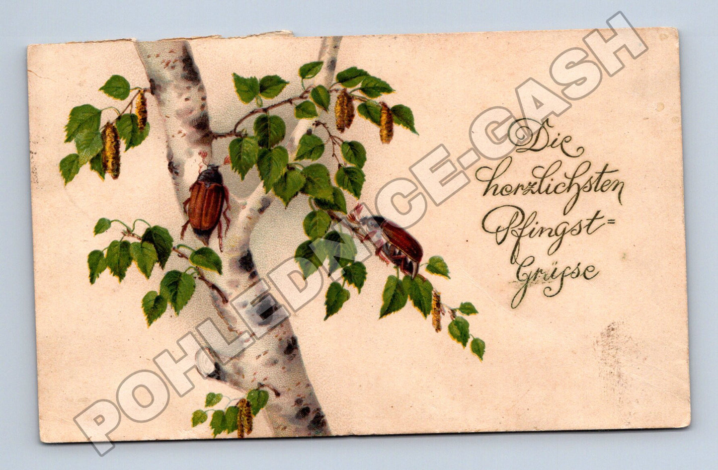 Pohlednice Pfingstní motiv chrobáci 1909 (M33785)