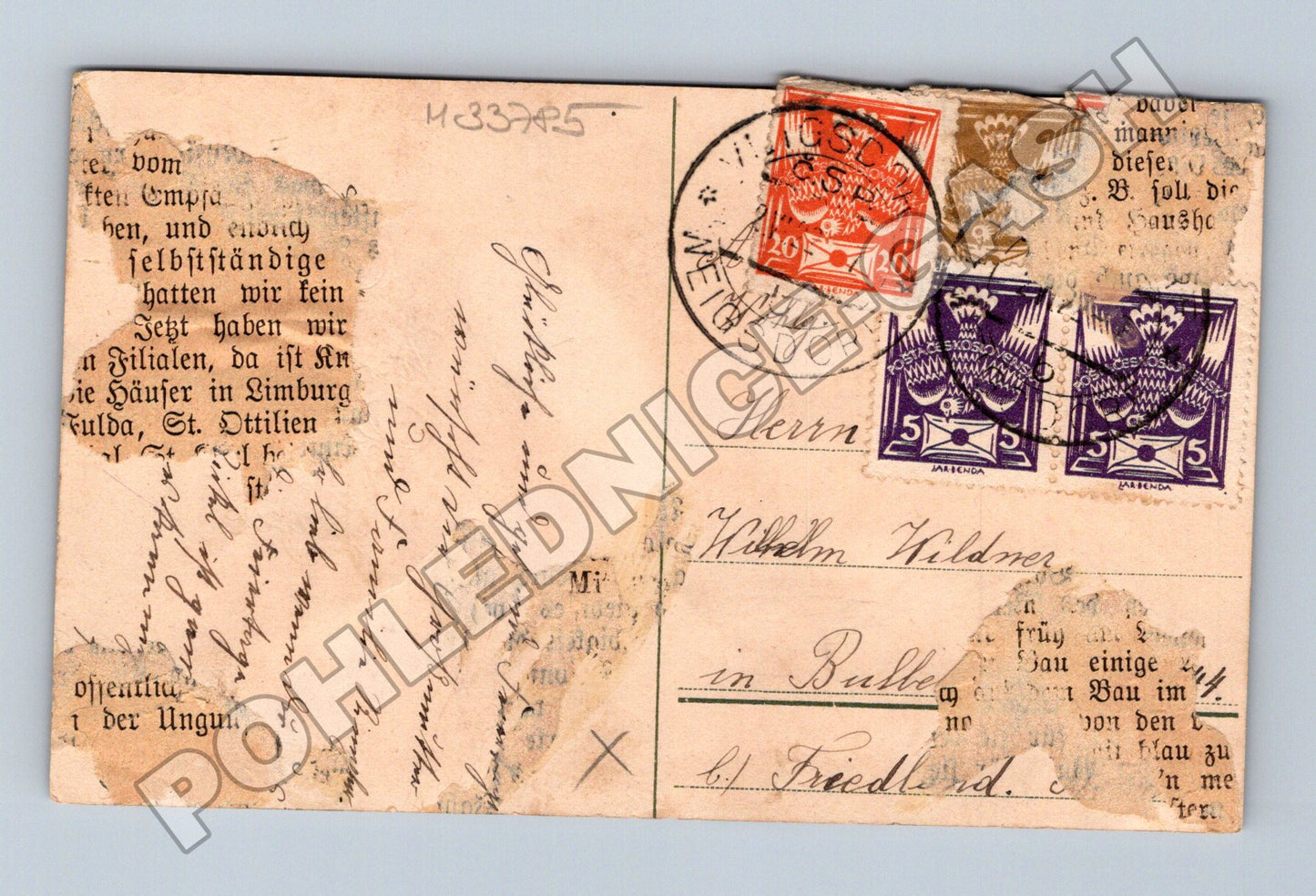 Pohlednice Pfingstní motiv chrobáci 1909 (M33785)