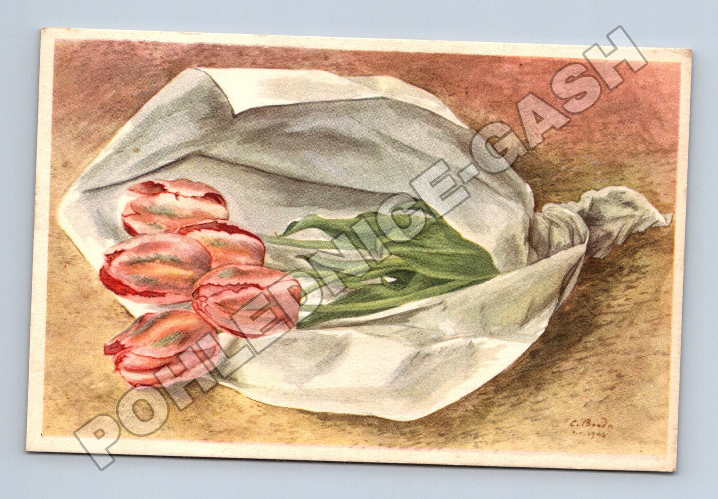 Pohlednice kresba tulipány C. Bouda 1905 (M33809)