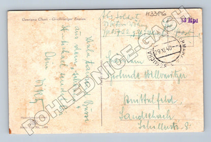 Pohlednice Německo Květina Gentiana 1940 (M33816)