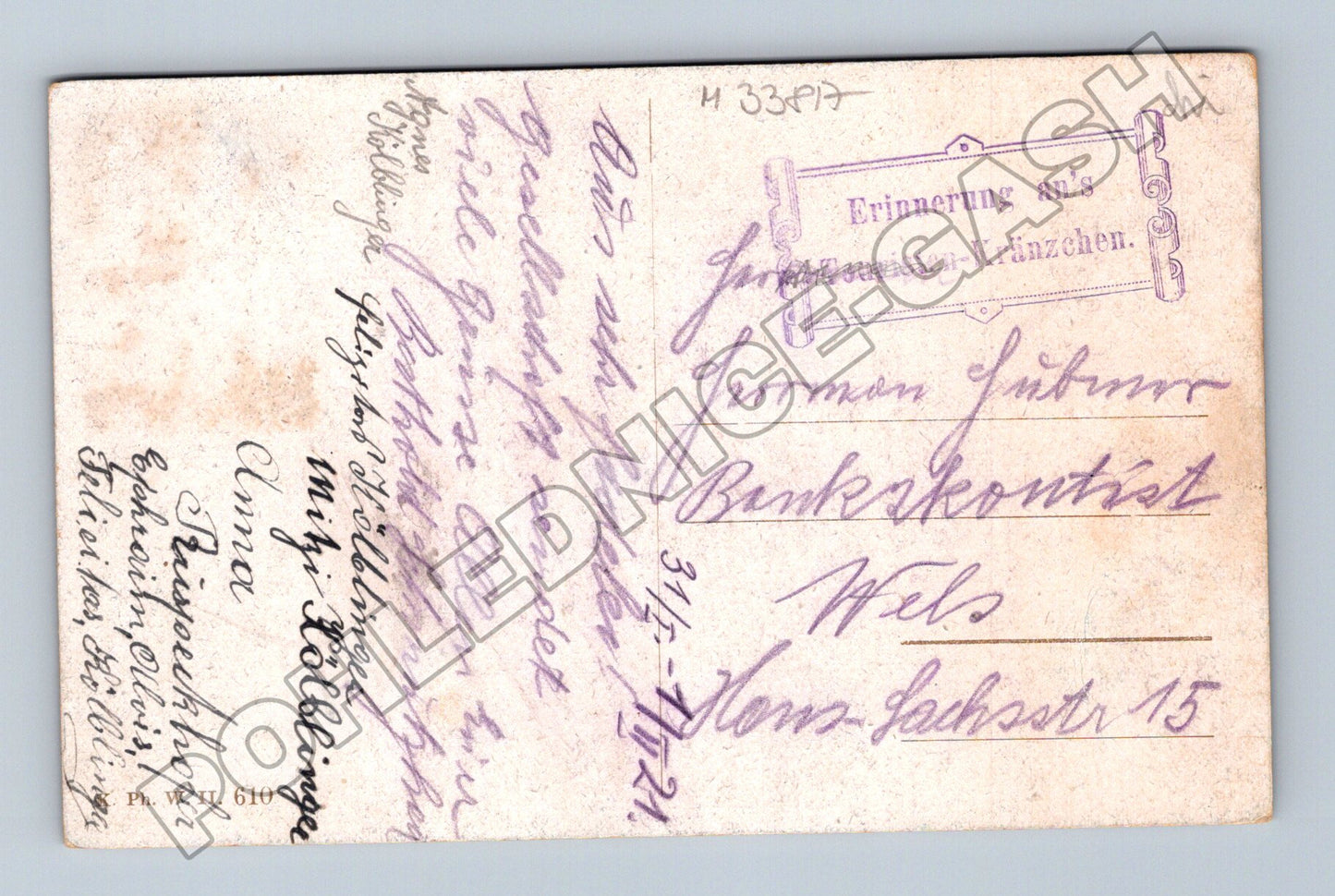 Pohlednice Rakousko horské květy (M33817)