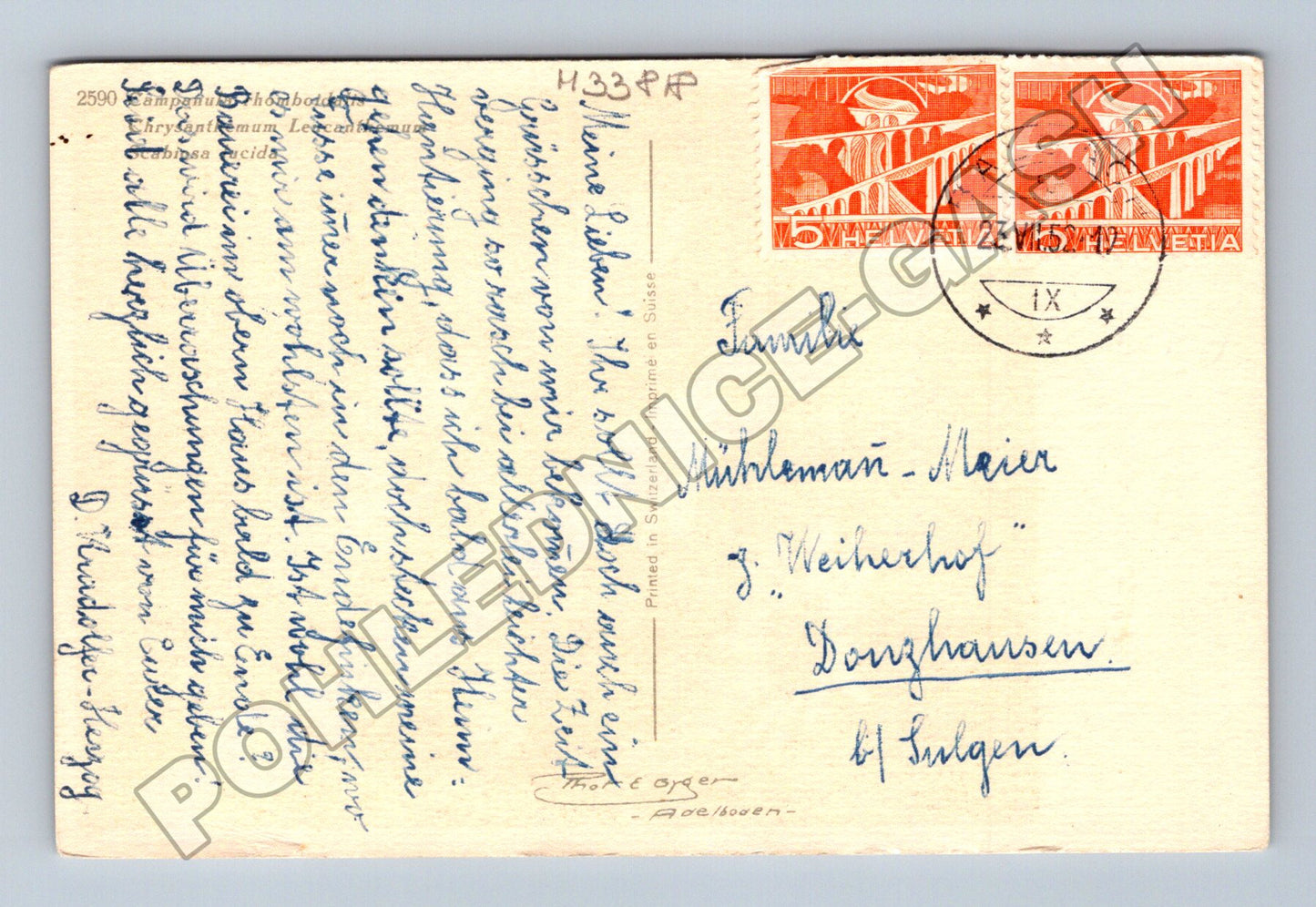 Pohlednice Švýcarsko kytice květin 1. Petr 5.7 1903 (M33818)