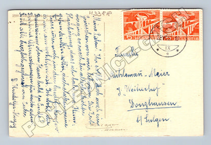 Pohlednice Švýcarsko kytice květin 1. Petr 5.7 1903 (M33818)
