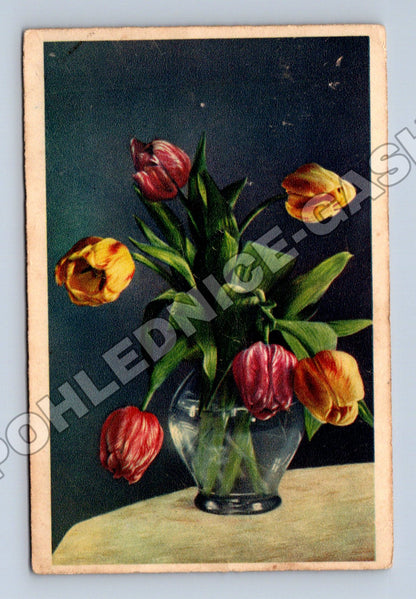 Pohlednice Kytice tulipánů ve váze (M33820)