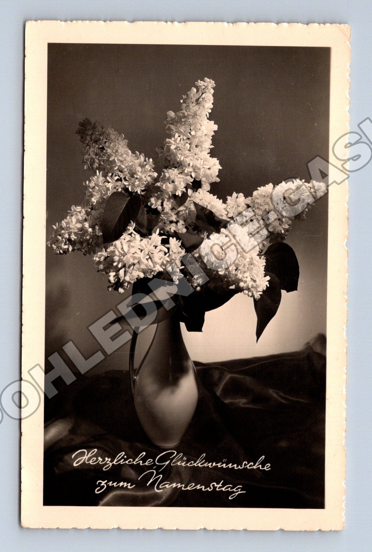 Pohlednice Rakousko šeříky k jmeninám 1962 (M33826)