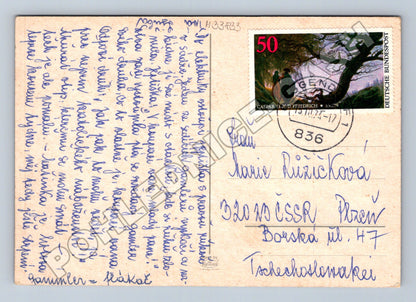 Pohlednice Německo umělecká psi v akváriu 1978 (M33833)