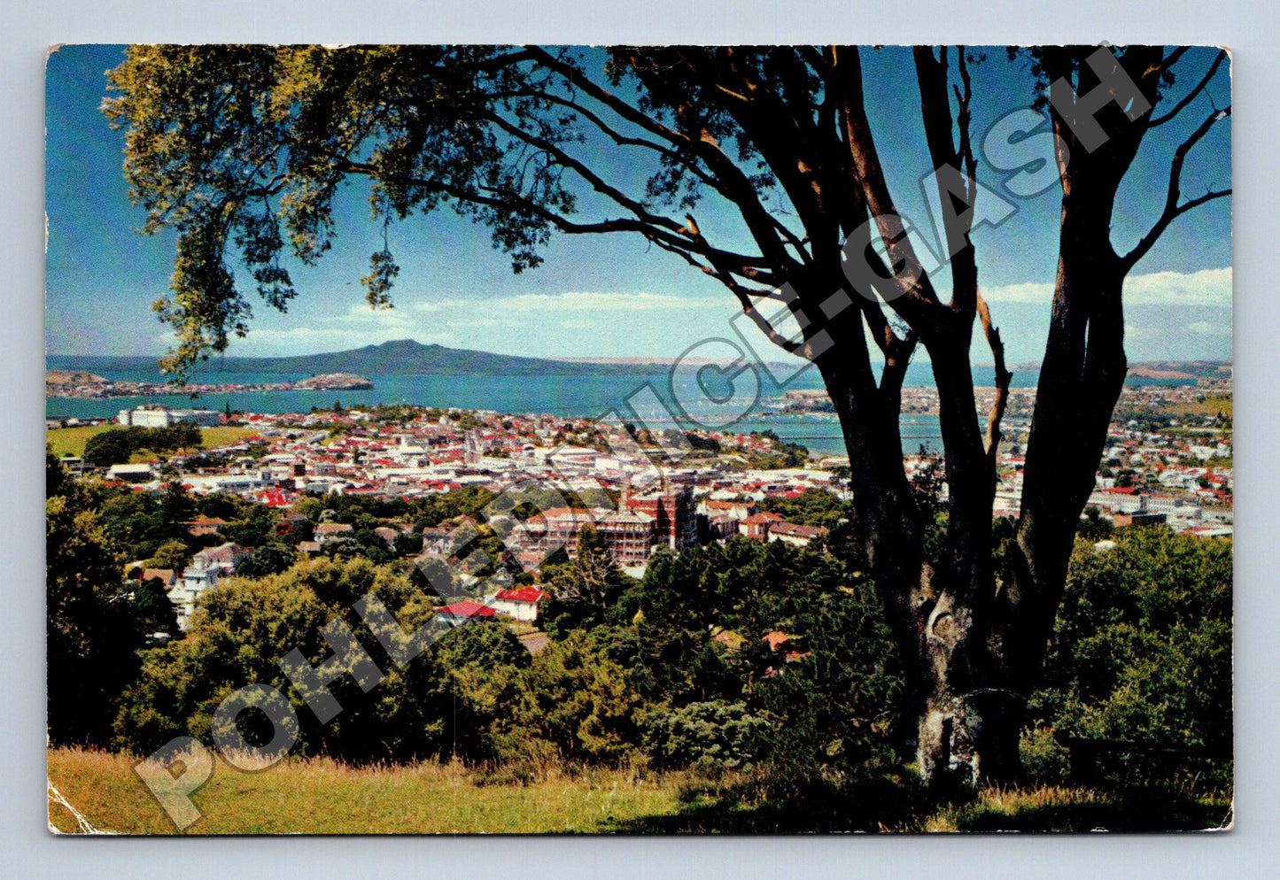 Pohlednice Nový Zéland Auckland panorama města 1962 (M33896)