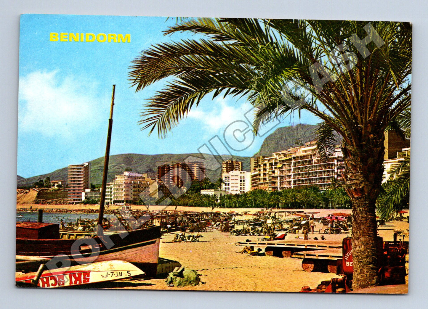 Pohlednice Španělsko Benidorm pláž s palmou 1984 (M33900)