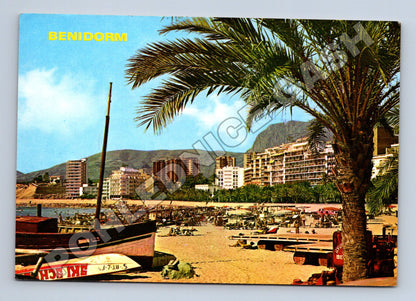 Pohlednice Španělsko Benidorm pláž s palmou 1984 (M33900)