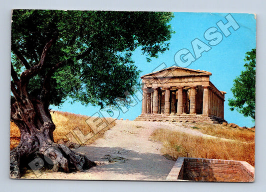 Pohlednice Itálie Agrigento Chrám Concordia 1967 (M33917)