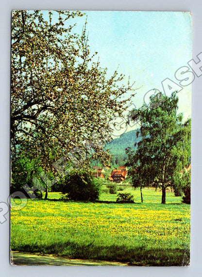 Pohlednice Německo venkovská jarní krajina 1976 (M33925)