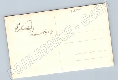 Pohlednice Český Krumlov zámek a město 1929 (M3399)