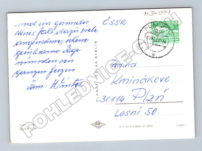Pohlednice Německo zimní les Vánoce (M34099)