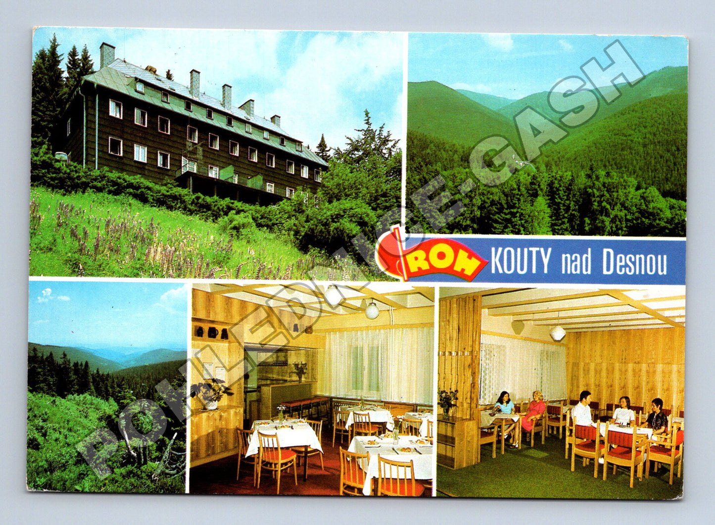 Pohlednice Jeseníky Kouty nad Desnou Zotavovna ROH 1984 (M34224)
