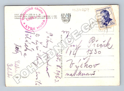 Pohlednice Lysá Hora pastva ovcí 1963 (M34269)