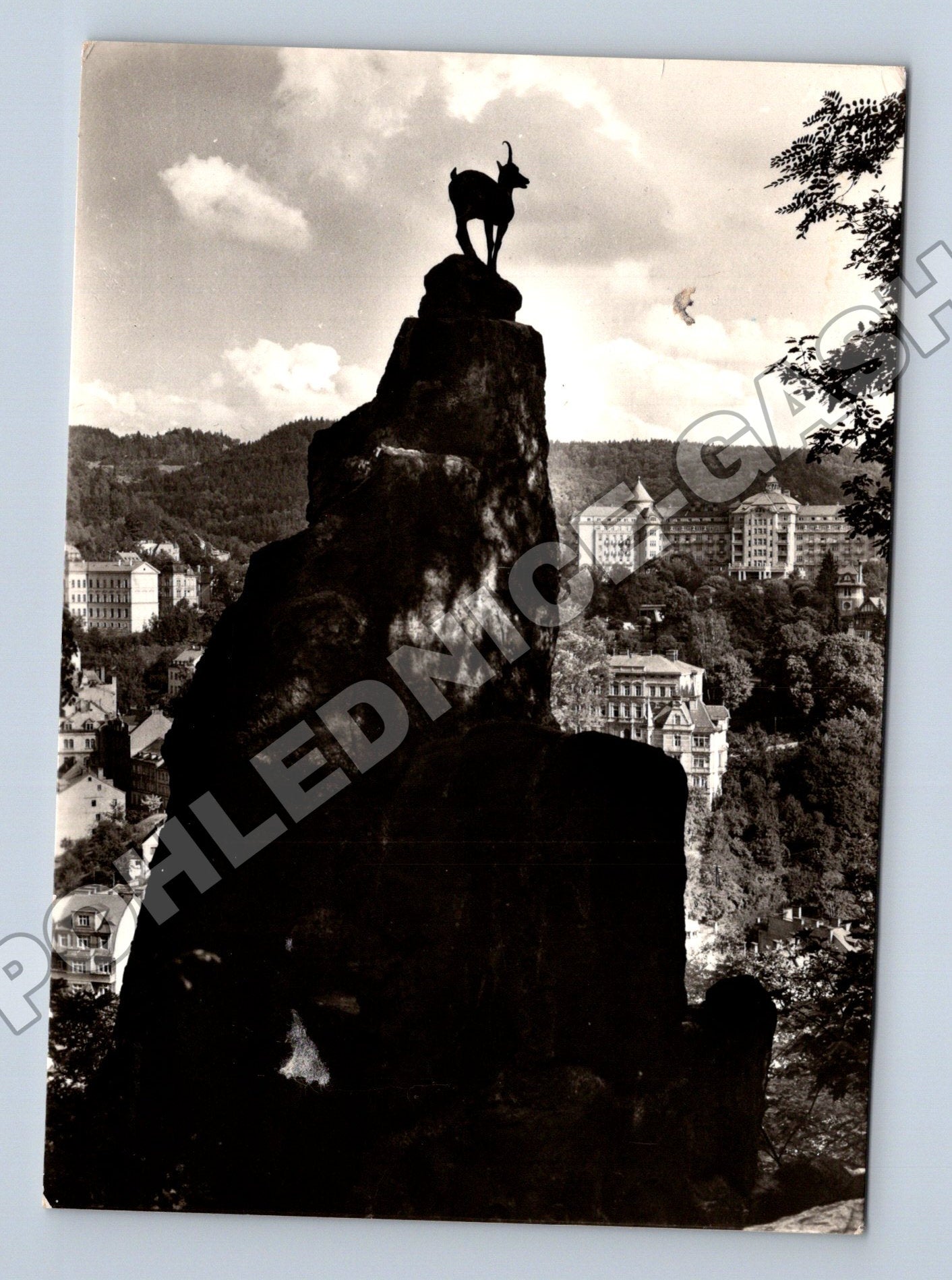 Pohlednice Karlovy Vary Kamzík Jelení skok (M34281)