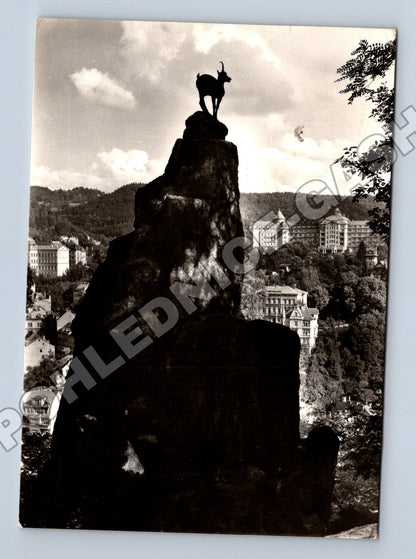 Pohlednice Karlovy Vary Kamzík Jelení skok (M34281)