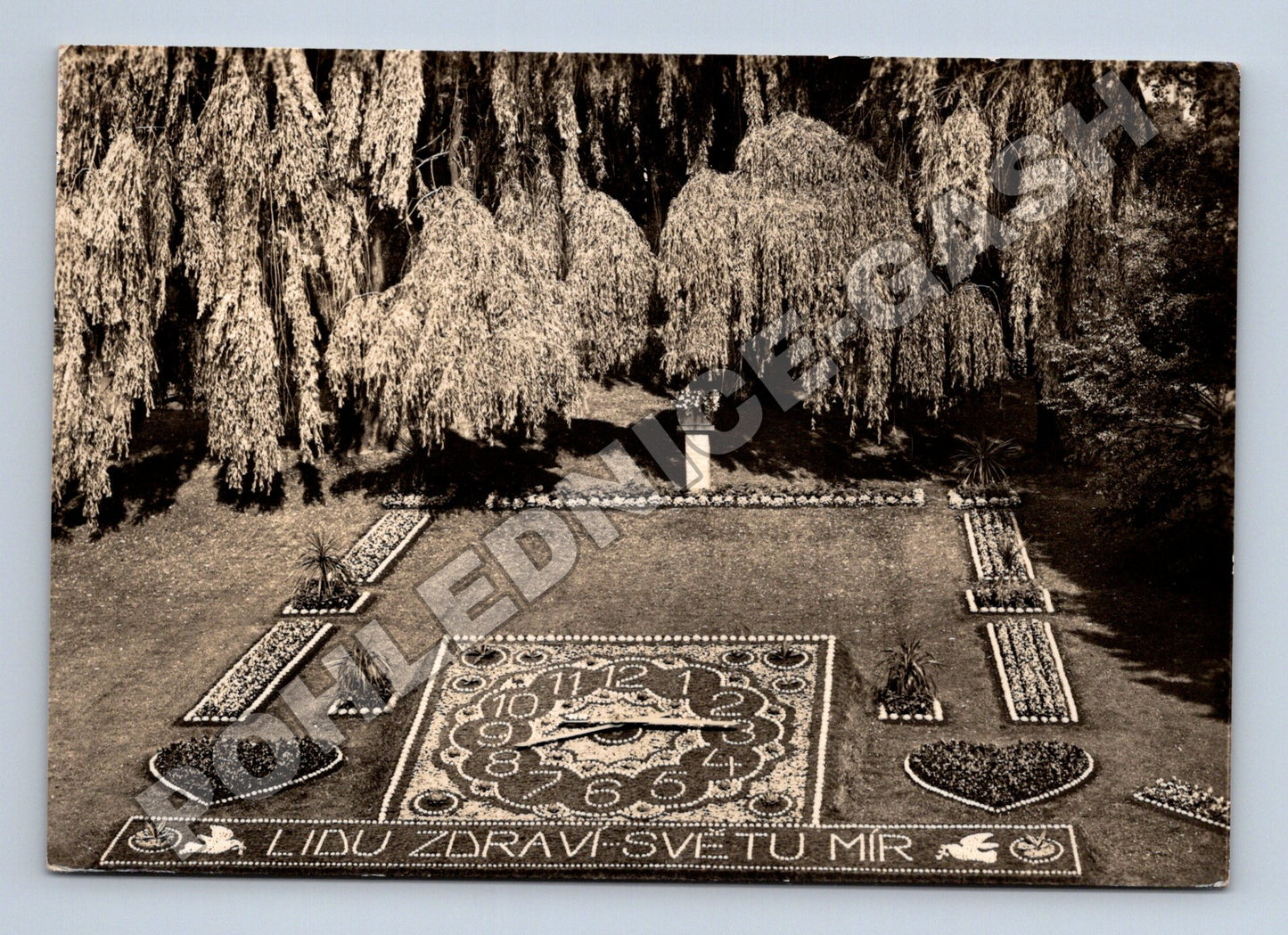 Pohlednice Poděbrady Květinové hodiny Lid u zdraví 1944 (M34283)