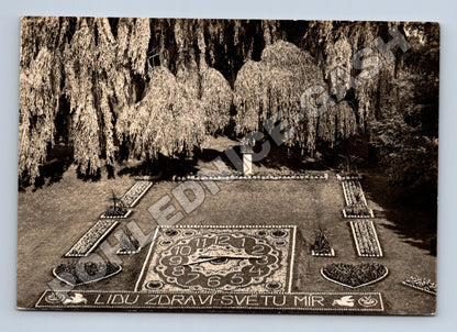Pohlednice Poděbrady Květinové hodiny Lid u zdraví 1944 (M34283)