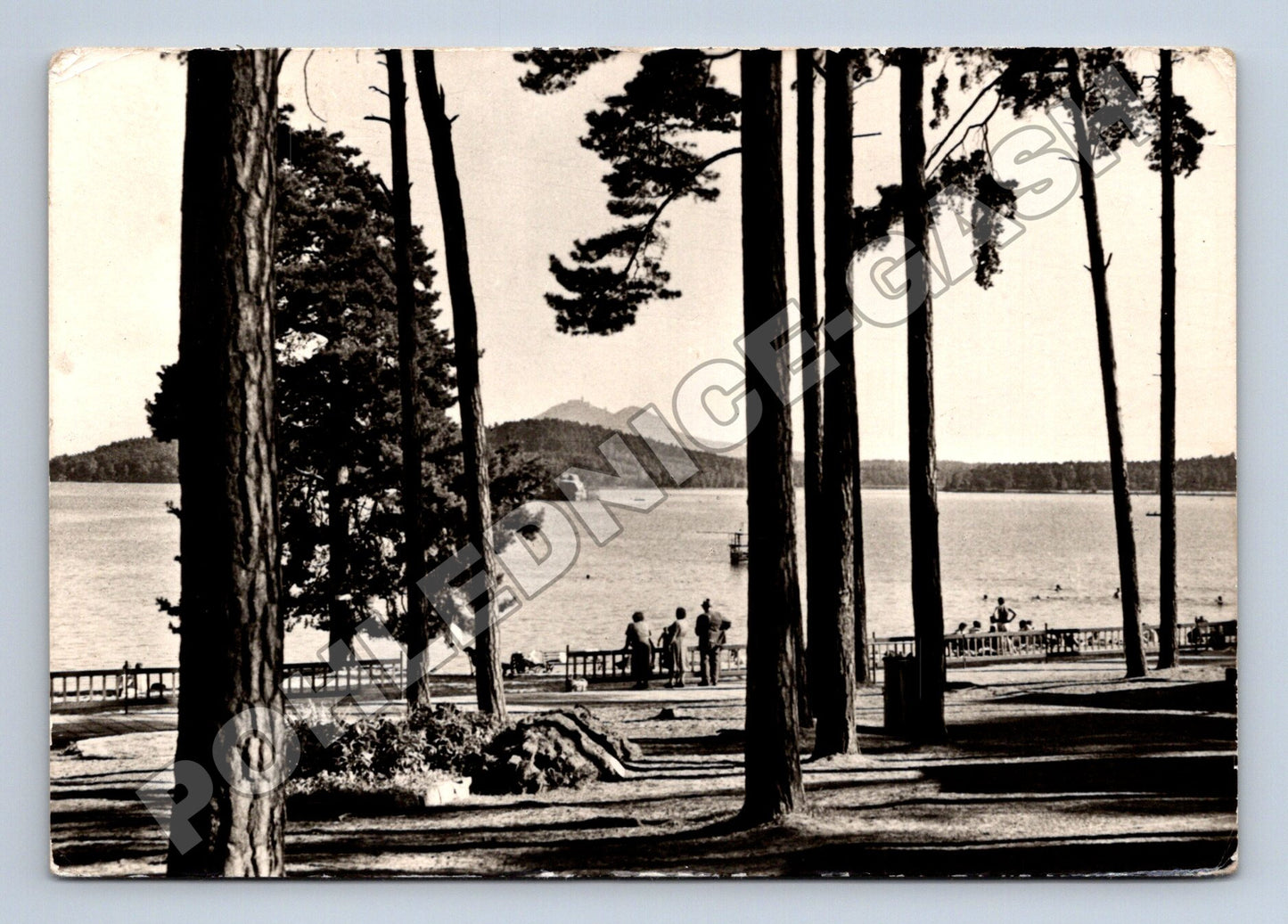 Pohlednice Doksy Staré Splavy Máchovo jezero 1947 (M34337)