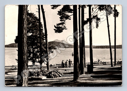 Pohlednice Doksy Staré Splavy Máchovo jezero 1947 (M34337)