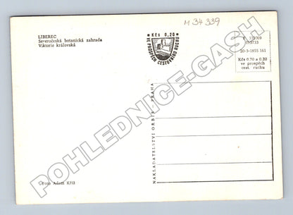 Pohlednice Liberec botanická zahrada Viktorie královská (M34339)
