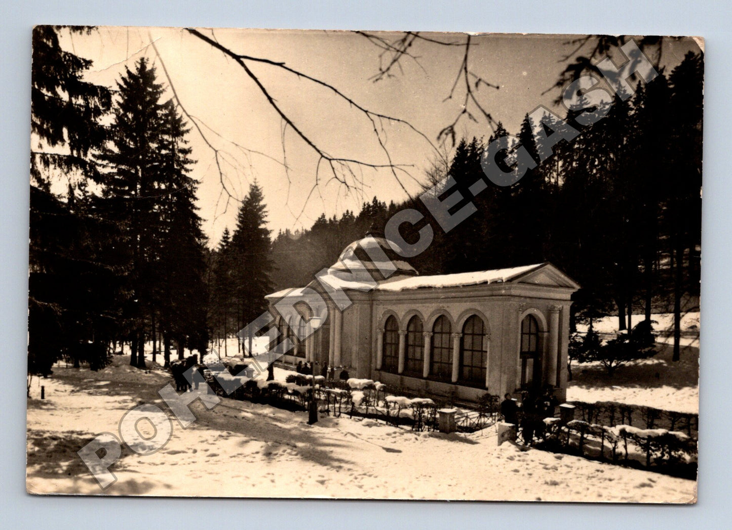 Pohlednice Mariánské Lázně Lesní pramen 1963 (M34353)