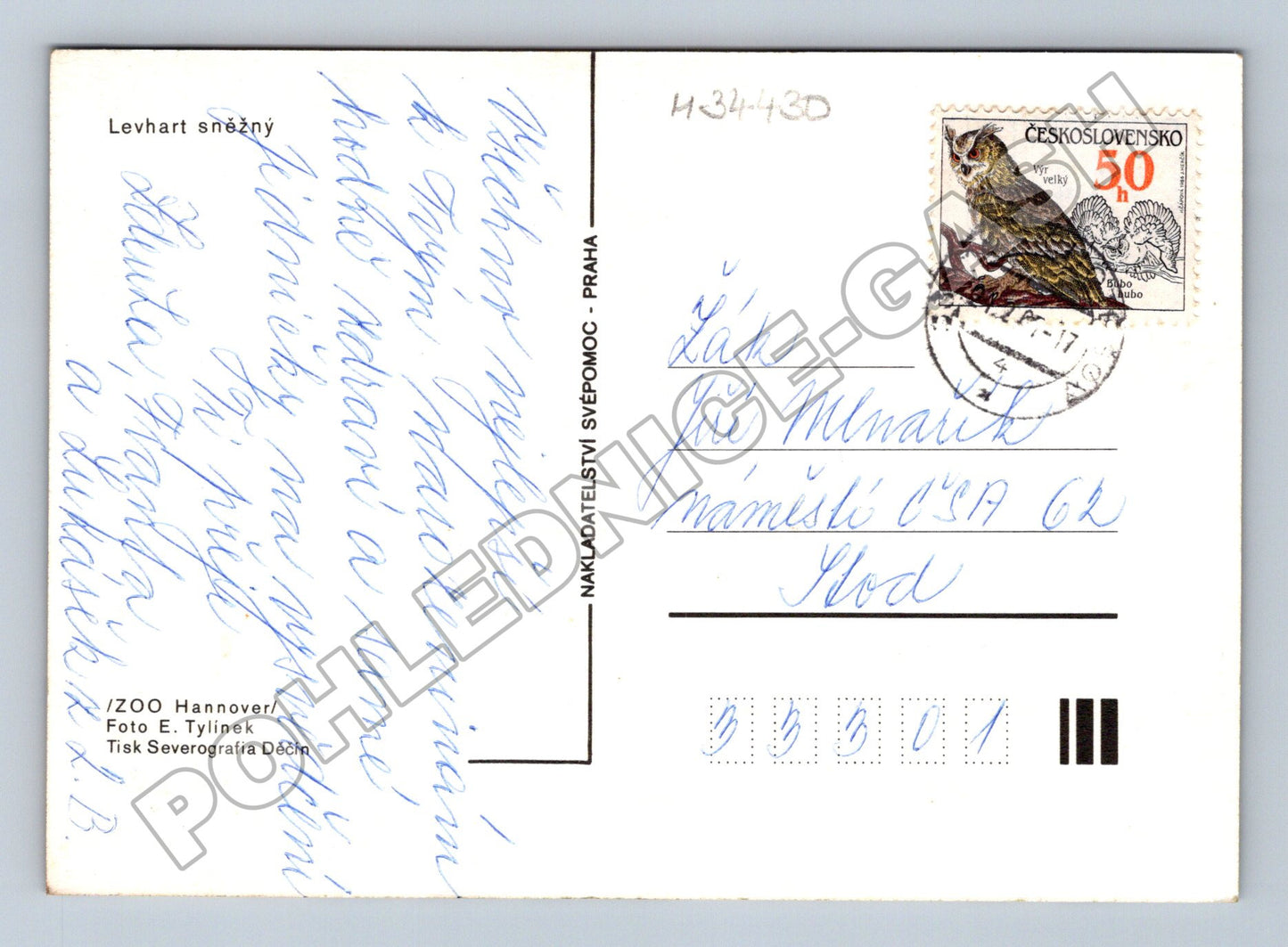 Pohlednice levhart sněžný 196x (M34430)