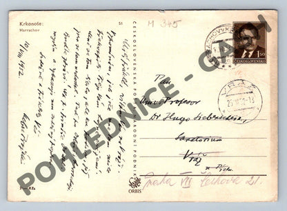 Pohlednice Harrachov Krkonoše zimní 1952 (M345)