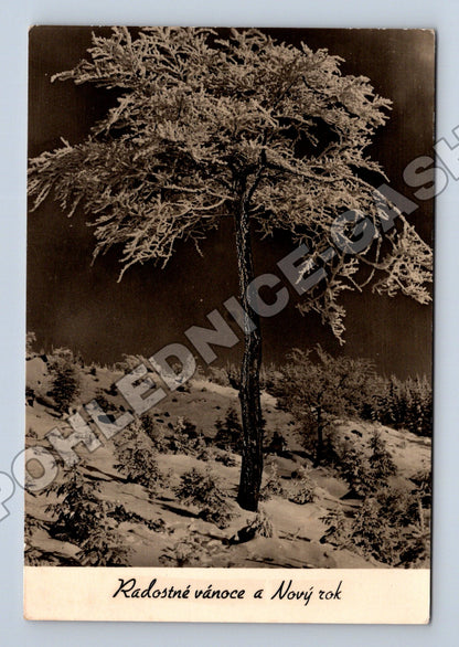 Pohlednice Československo zimní motiv Radostné Vánoce 1940 (M34569)