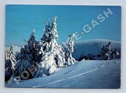 Pohlednice Slovensko zimní krajina Vánoční přání (M34575)