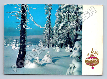 Pohlednice Československo zasněžený les Vánoce 1973 (M34576)
