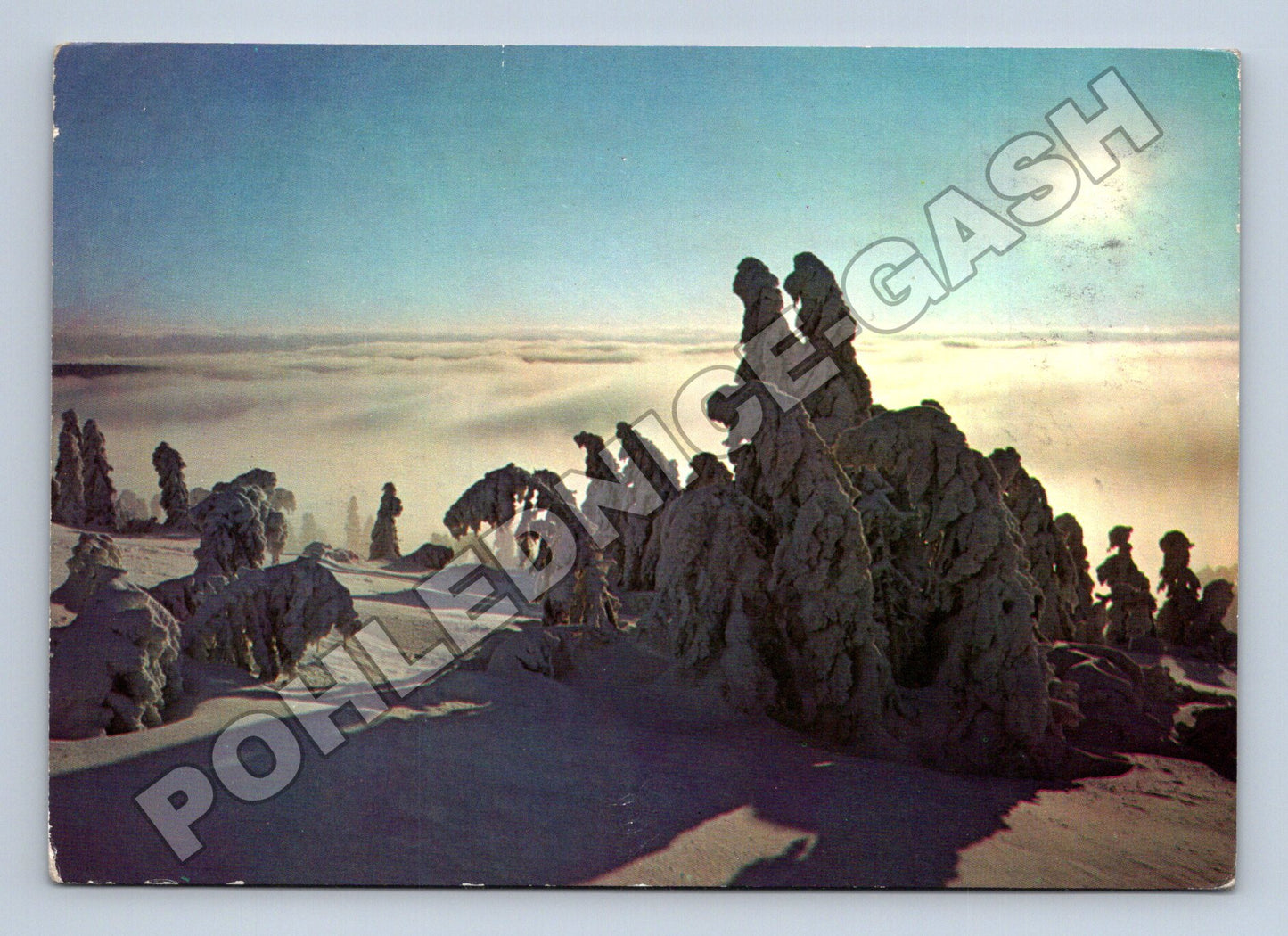 Pohlednice zimní krajina sníh stromy 1980 (M34583)