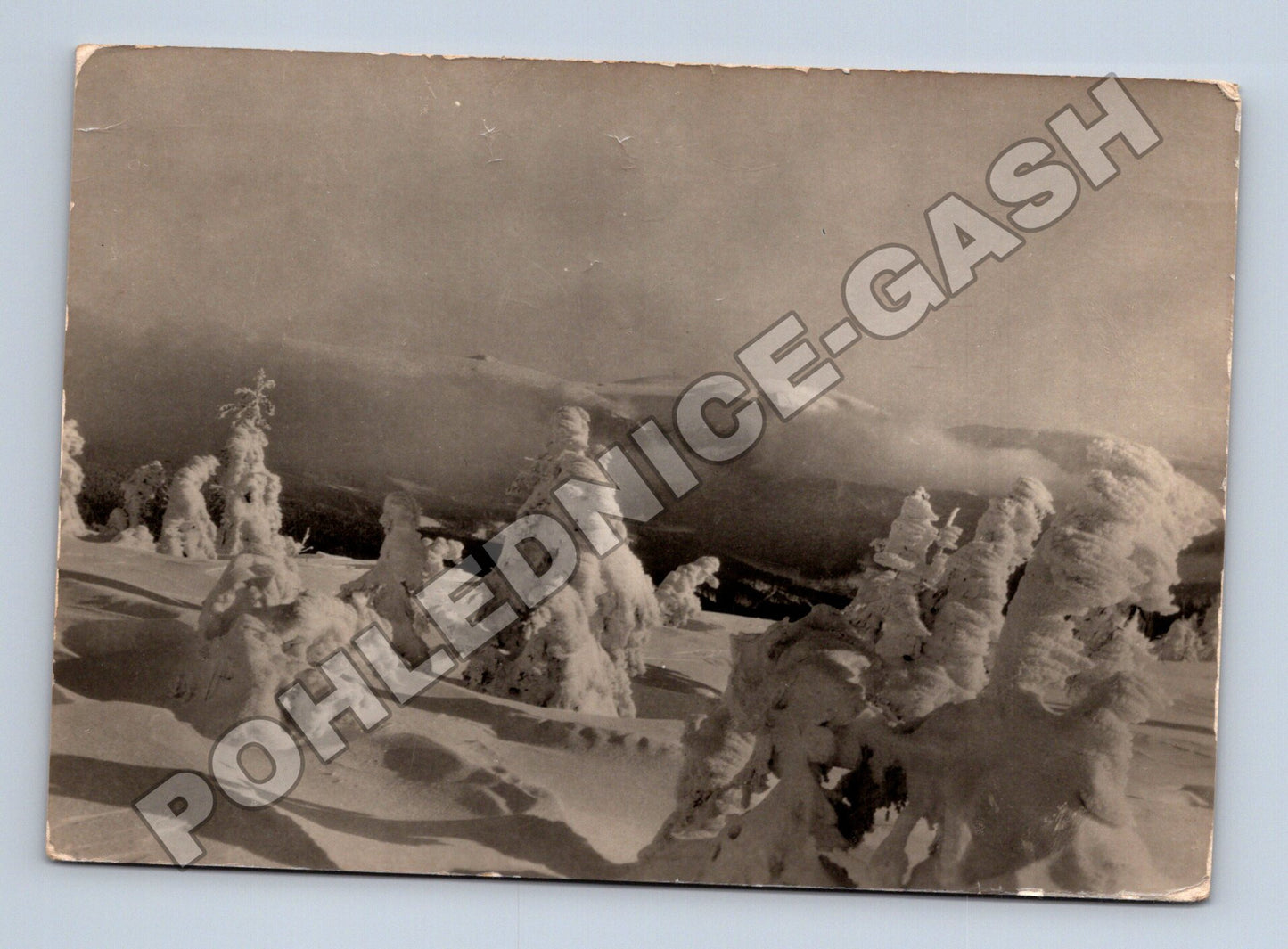 Pohlednice Krkonoše Zlaté návrší zimní krajina 1941 (M34585)