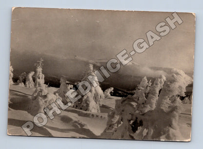 Pohlednice Krkonoše Zlaté návrší zimní krajina 1941 (M34585)
