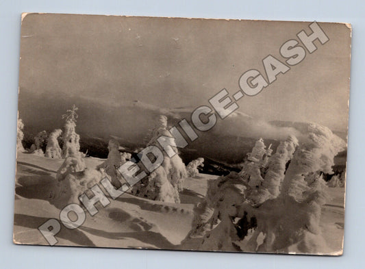 Pohlednice Krkonoše Zlaté návrší zimní krajina 1941 (M34585)