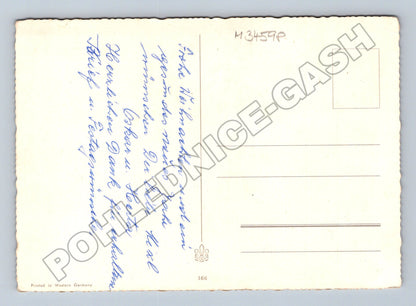 Pohlednice Západní Německo Vánoce zimní krajina jeleni (M34598)