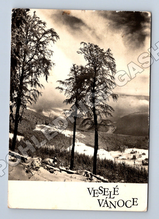 Pohlednice Vánoční zimní krajina Trutnov 1963 (M34623)