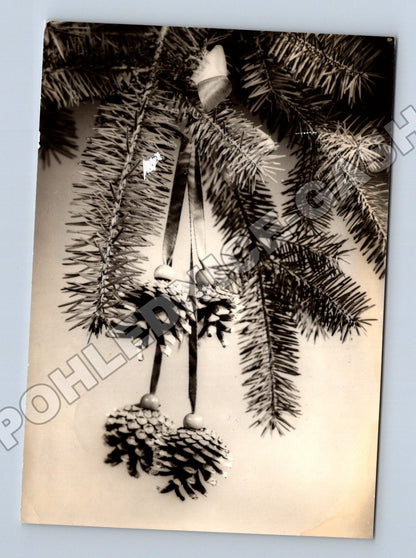 Pohlednice Vánoční motiv borové větve šišky 1941 (M34625)